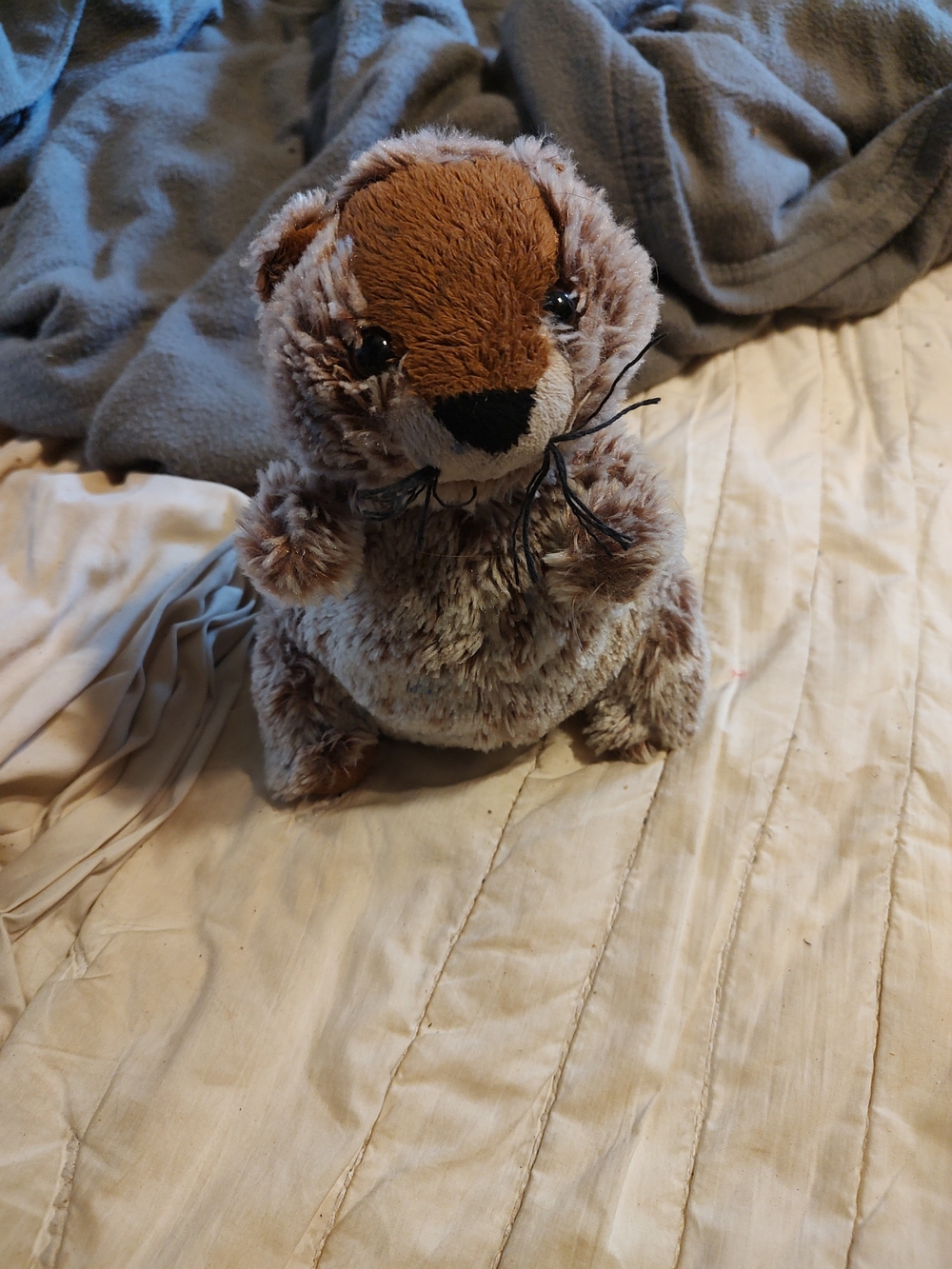 Webkinz Retired Groundhog